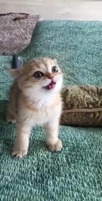 Just wait til I get older :)