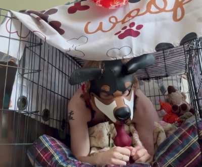 puppy throats him all the way down to the sheath