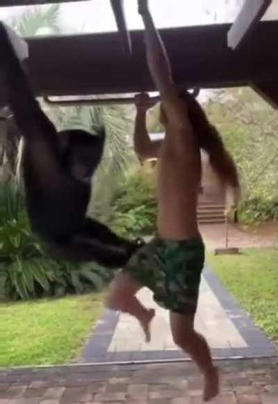 Puny human brutally destroyed by ape
