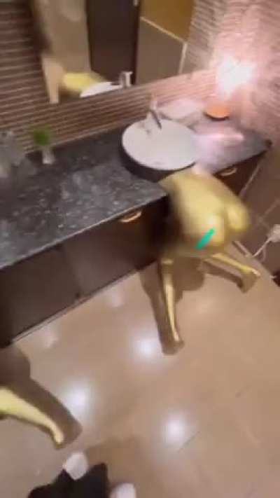 Who made these sinks? And what is sound?