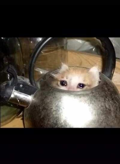 The productive Sad2020