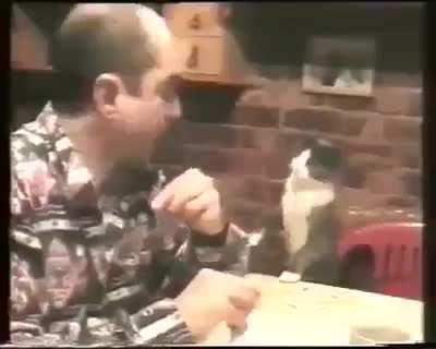 This man is deaf. His cat realized that meowing was useless.So he learned to communicate with him by signs.