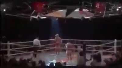 SOMOS TODOS CARALHUDOS