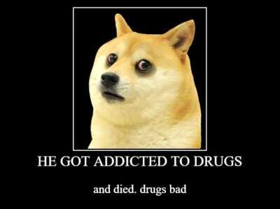 Doge nooo