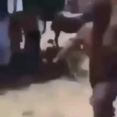 YouTube kids be like