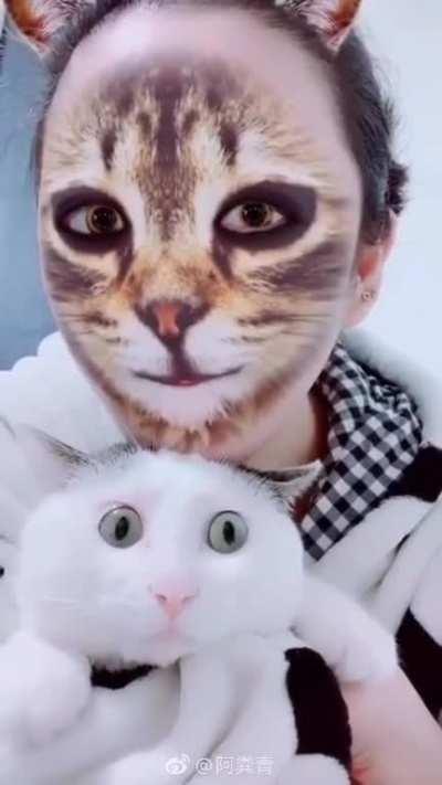 How to give your pet a nightmare