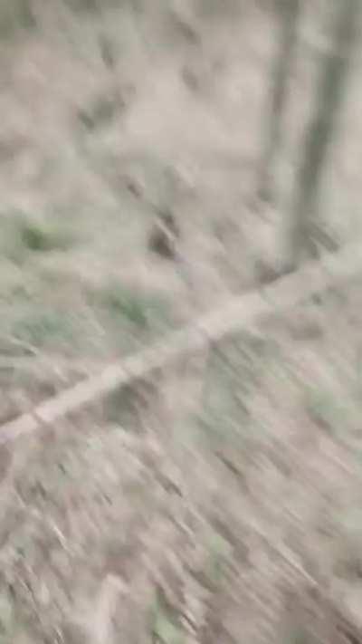 Making bamboo strips