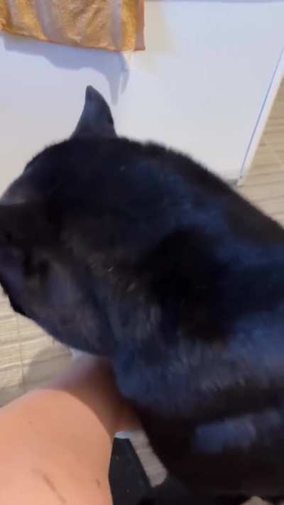 You can't have privacy in this house