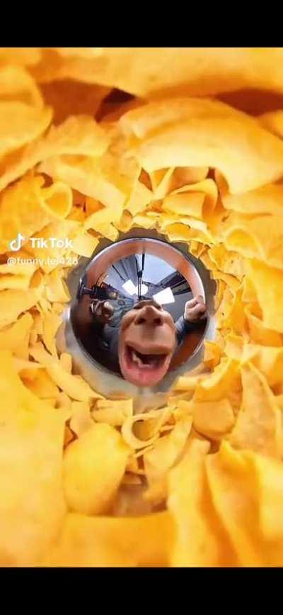 Liveaction cart titan looks different