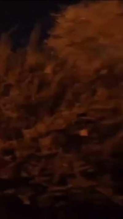 ð¥ A dramatic confrontation between an elephant and a rhino.ð¥