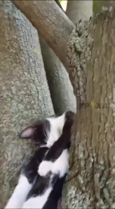 I can fall asleep anywhere I want :)