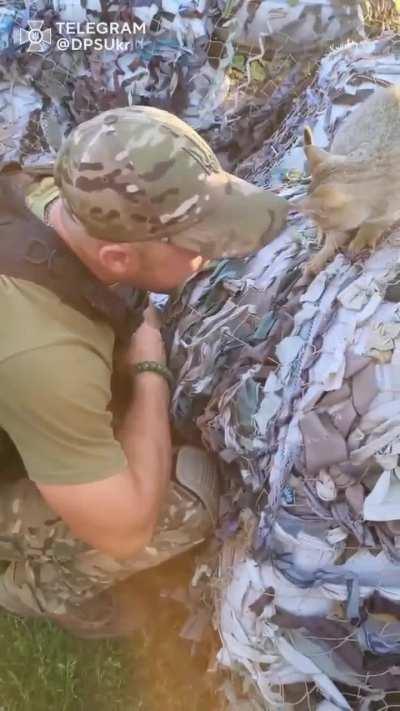 Feel good video - UA soldier playing with kitty