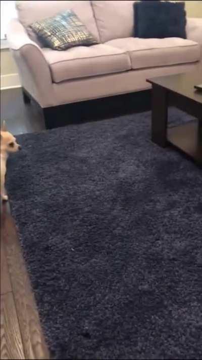 MRW someone invades my territory