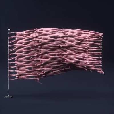 We all are in this together