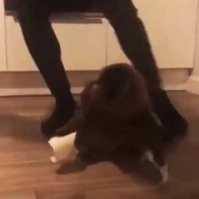 can we get an F in the chat