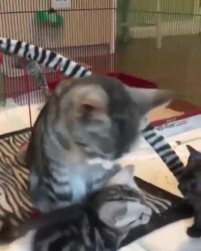 the cutest thing I've seen today