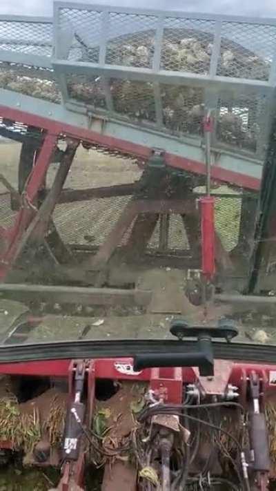 Beet harvest continues in Wyoming, it's been slow due to weather conditions. Should finish up this week!