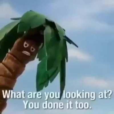 Coconut tree supremacy