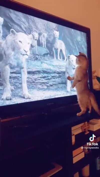 Kitty was so into the movie.