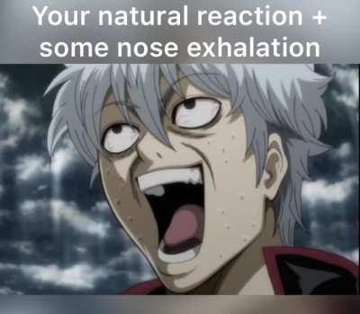 Gintoki’s reactions are relatable