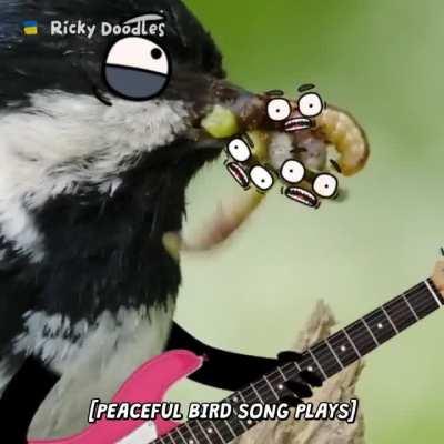 Nice and peaceful Bird song [with sound]