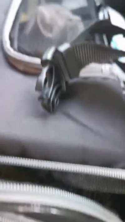 The new yeller of a friend of mine.