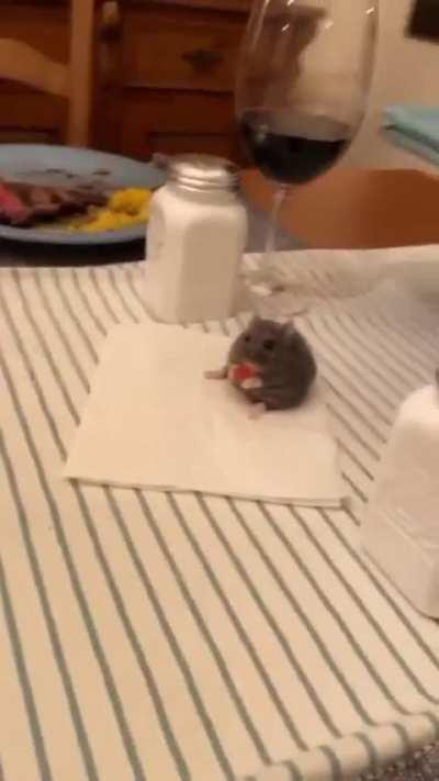 Hey now i am your new King.