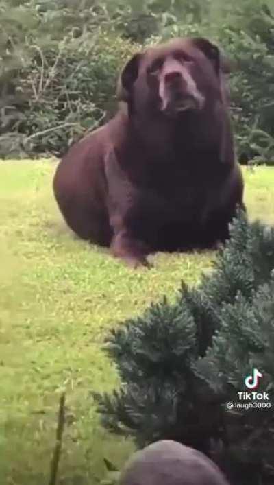 That’s a think a** boi!