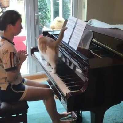 Music App does not work for Piano