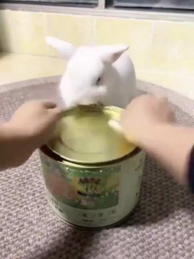 What if we gave adrenaline to bunny warriors