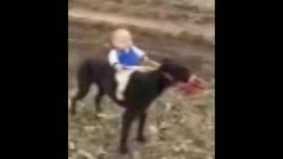 Scott the woz Reviews Red Dead 3