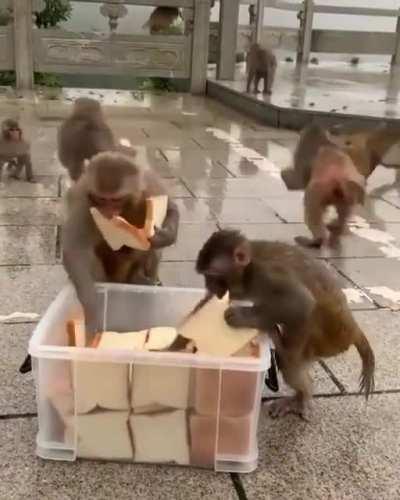 Общество потребления