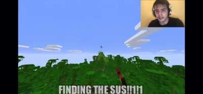 When the pigs are SUS