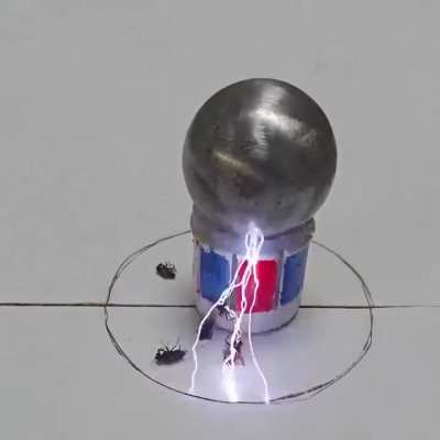 The Clamworks factory is proud to announce we have solved our fly problem