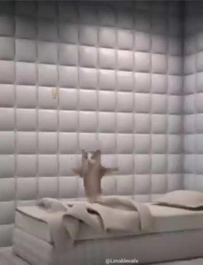 i am losing my grip on reality