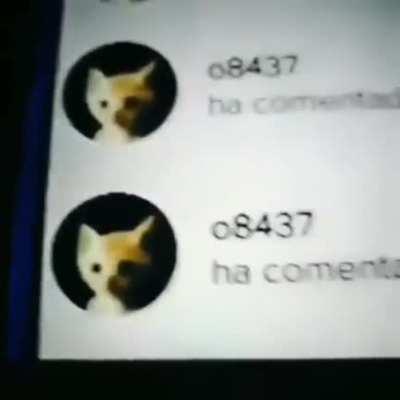 si juegan terraria, manden sus usuarios discord para server de todas las semillas mezcladas