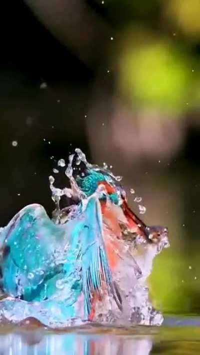 This footage is amazing in slow motion