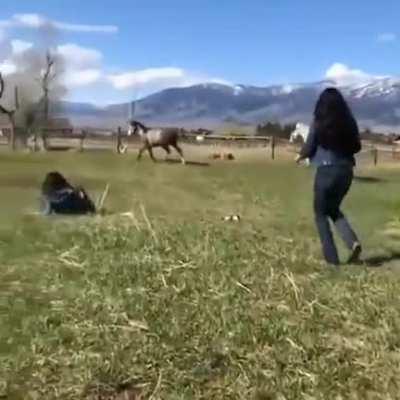 Champagne on a horse