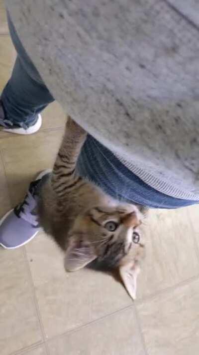 Paxton's back, & naughtier than ever!