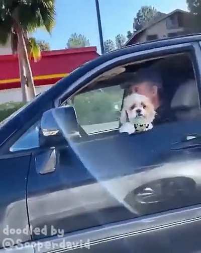 friends forev..AARRGHHH!