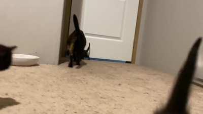 Baby’s and their mama.