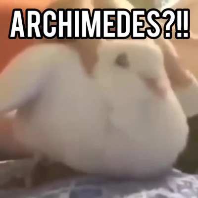 ARCHIMEDES?!!