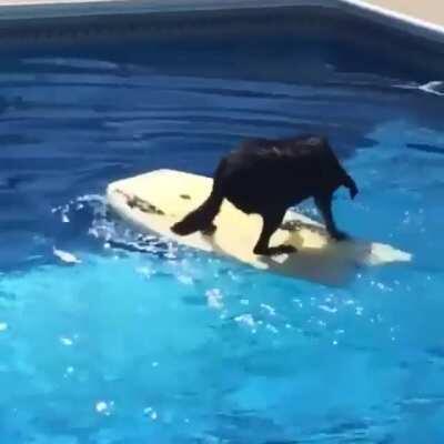 I'll get it, I'll get it