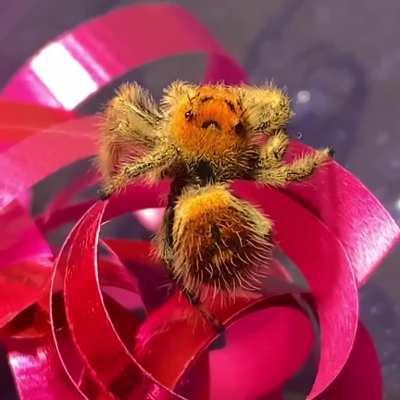 Guess who’s going to be a mother!