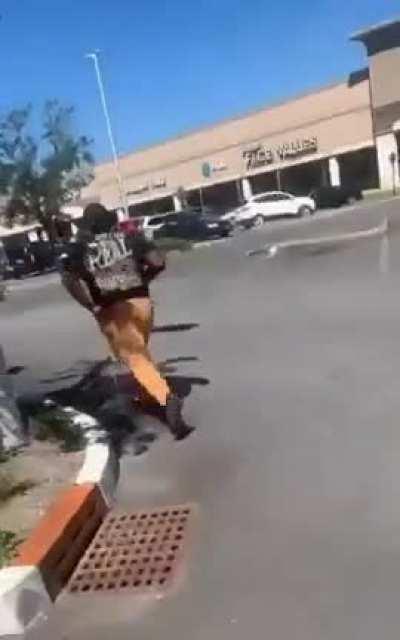 Trying to knock down a wasp nest with a pole