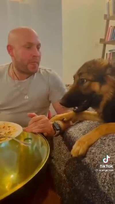 Excellent conversation skills...