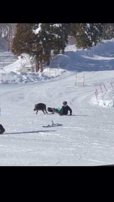 Fuck you snowBOARders