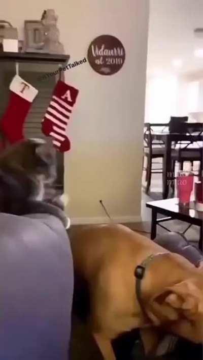 Freddie Mercury would be proud…