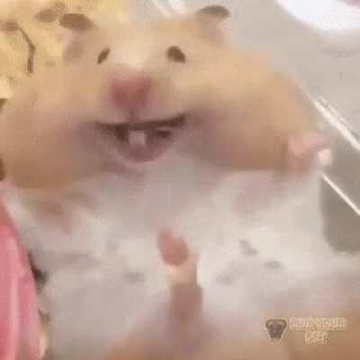 Nothing special, just hope pewd could have a giggle watching this