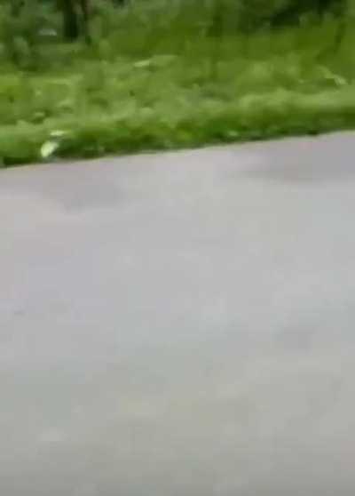 Never getting on a bike in the jungle again...